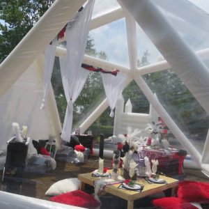 Dunch “Late Brunch”  Marquee Picnic Table Party for Any Occasion