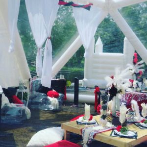 Dunch “Late Brunch”  Marquee Picnic Table Party for Any Occasion