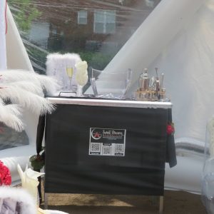 Dunch “Late Brunch”  Marquee Picnic Table Party for Any Occasion